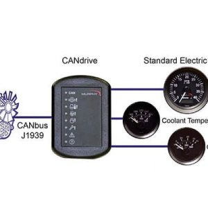 Can Input_Output Modules _ CANdrive J1939 to Gauge Interface